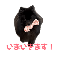 mugi_20260506124454