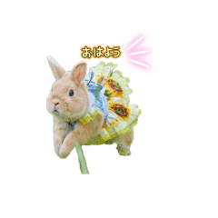 Sourire_20260506125016