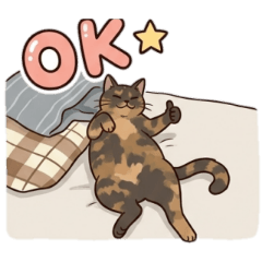Tortoiseshell cat "Qoo"