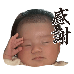 shi-to_20260506191149