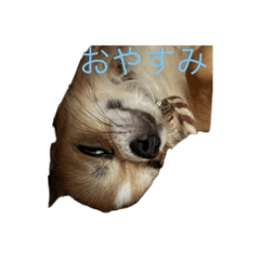 Daichi_20260506124934