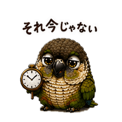 Riona_20260506191738