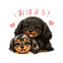 ラブ&パム