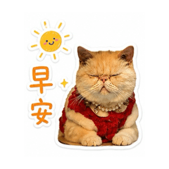 盈盈的愛✨