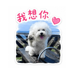 我家的妞妞✨