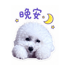妞妞✨