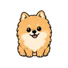 ruru the Pomeranian