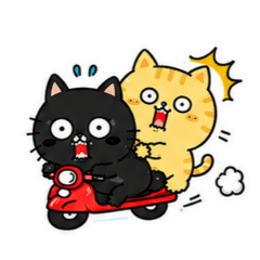 Nyanya Couple