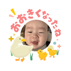 haru_20260506142555