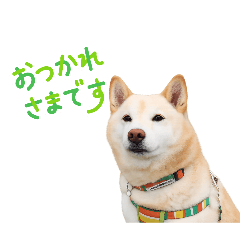kyooooo_20260506142230