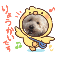 Love happy_