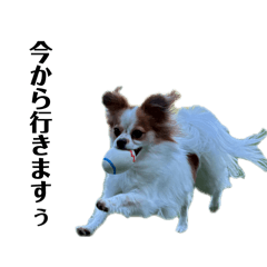 Rakurasu_20260506200935
