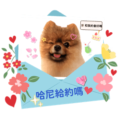 薔米話語權