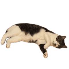 Mmm_20260506201006