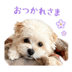 Chiho_20260506145049