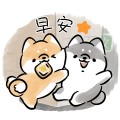 戲精柴犬