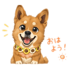 kutsuko_20260506144409