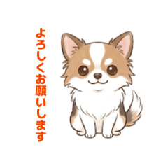 Tyapityapi1023_20260506145505
