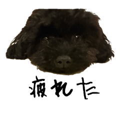 KURI_20260506201608