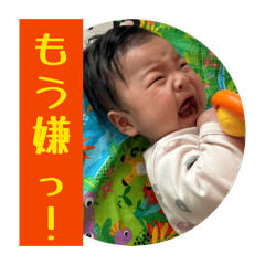 biggie wataru_20260506201821