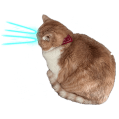 Kirakira100%_20260506153156