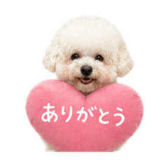 Chippin_20260506202443
