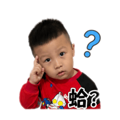 小皮蛋的成長