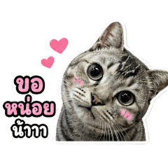 daechy_20260428151928