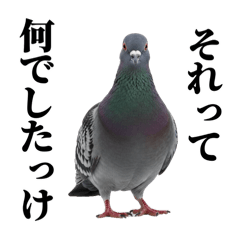 kanako_20260507171853