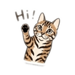 Leo the bengal 2