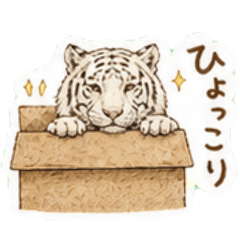 hina_20260506110055
