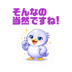 T.T.1981_20260506133645