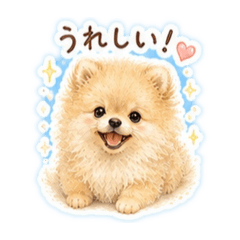 KIRI_20260506111712
