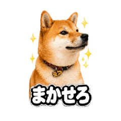 Yuuto_20260506174555
