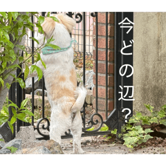 PD_20260506175056