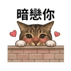 ECSwallowCats - SiSi喵愛情001