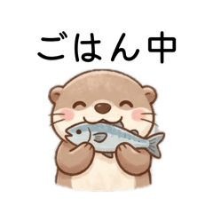 chino_f_20260506202008