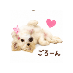 hidamari_20260506191424