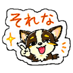 Too Relatable Doodle Chihuahua