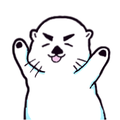 Eyebrow Otter