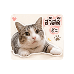 Kwan_20260428152231