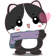 Baby Tuxedo Cat v1