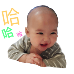 我家有隻《琮》