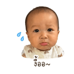 Ozone_20260428152529