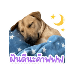 I lonely_20260429150851