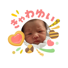 shin_20260506203745