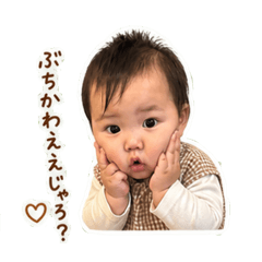Chii_20260506203954