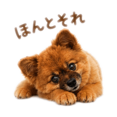 ryo_20260506204546