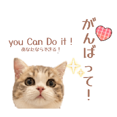 INUMIKAN_20260430163748