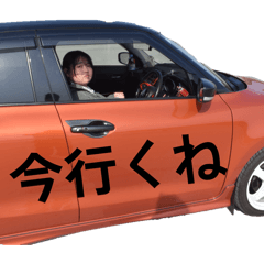 toto_20260506204526